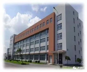 饮片厂低价转让 机遇与成果并行