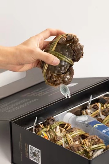 电商主播争锋背后的“蟹太太”成果转让现象探究